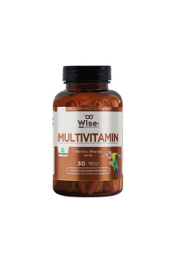  Wiselab Multivitamin + Omega 3 resmi